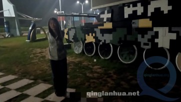 【绯影责束】户外欧式直臂五花，路口监控下放置