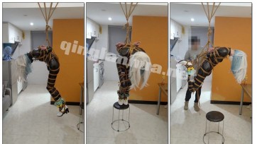【此间鸽者】紧身皮衣流萤驷马吊缚+郊狼审讯