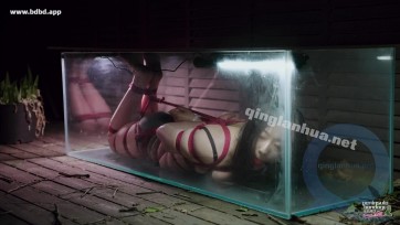 【半岛束艺台】【奎因】驷马展示灯箱